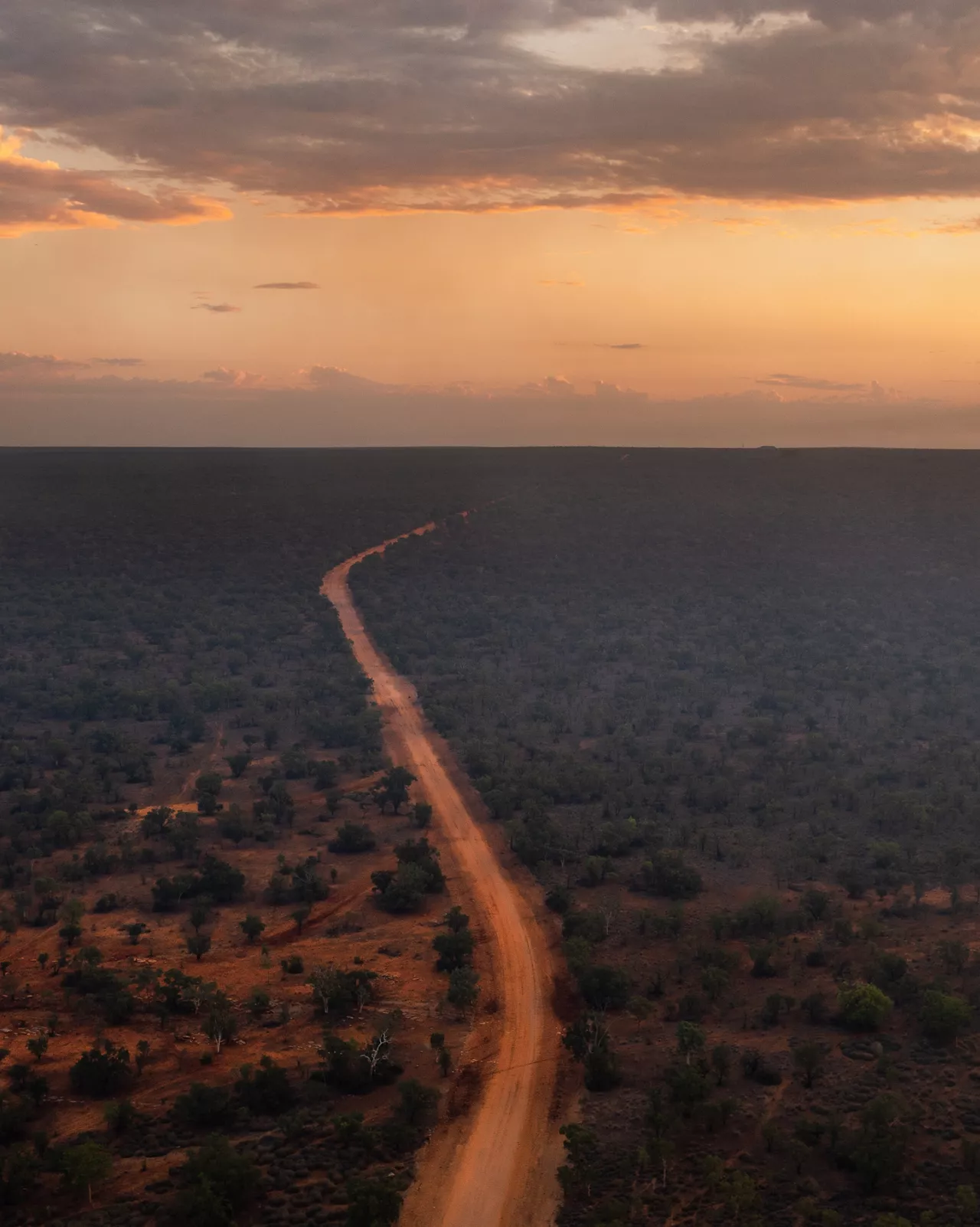 Landscape from Australia with a road through the Australian bush.